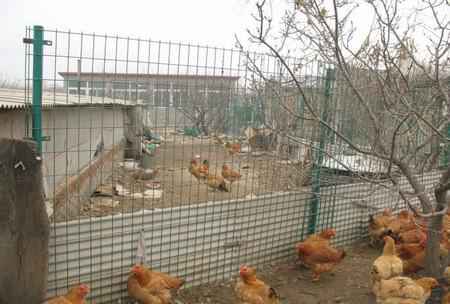 養殖護欄網.jpg